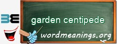 WordMeaning blackboard for garden centipede